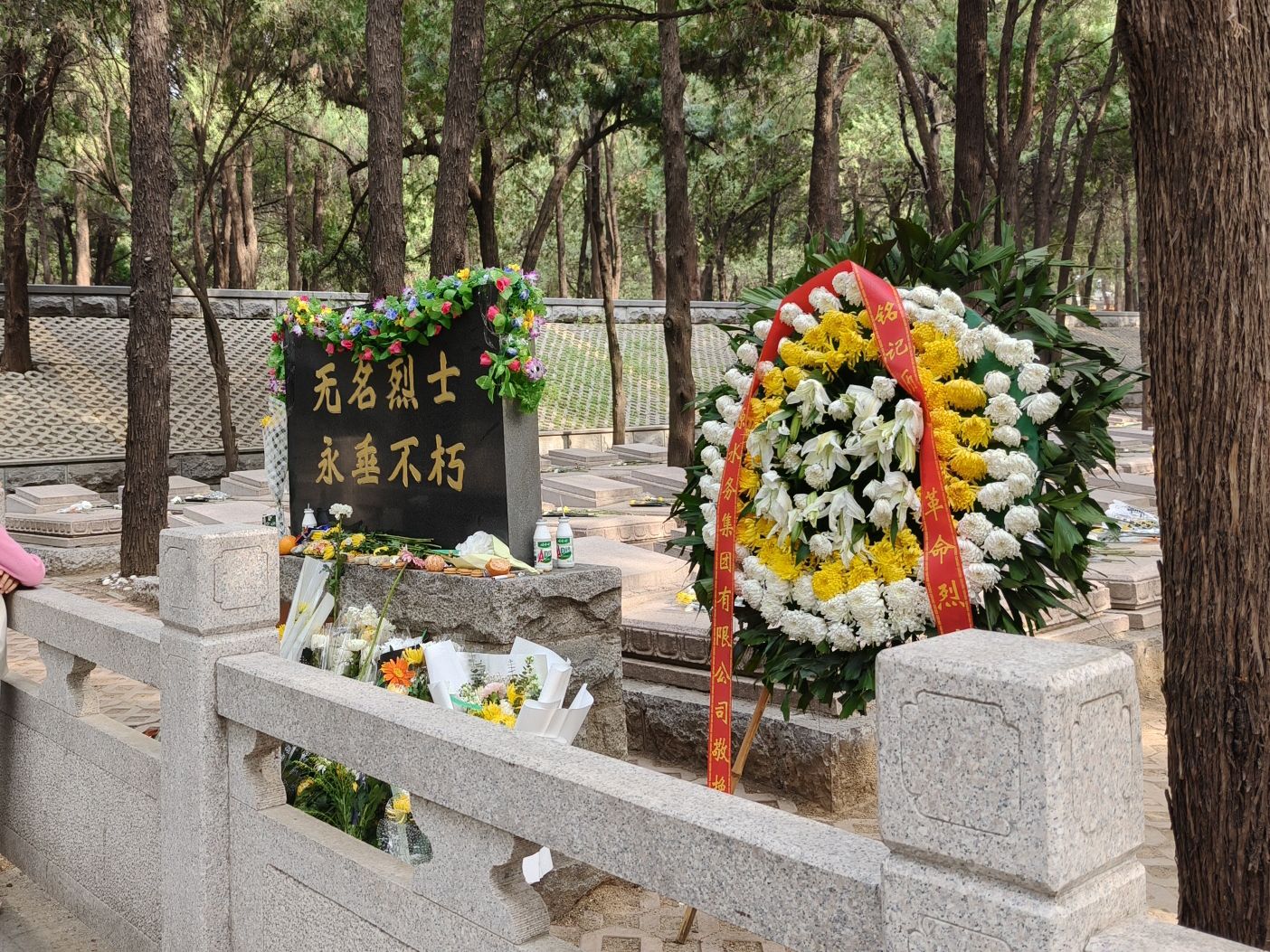 英雄山风景区旅行图片 2