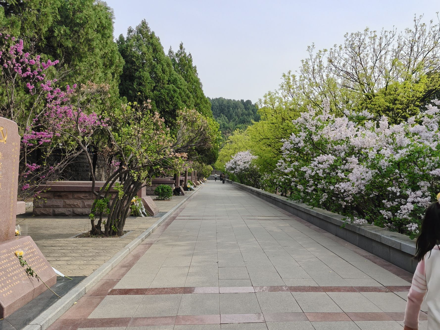 英雄山风景区旅行图片 3