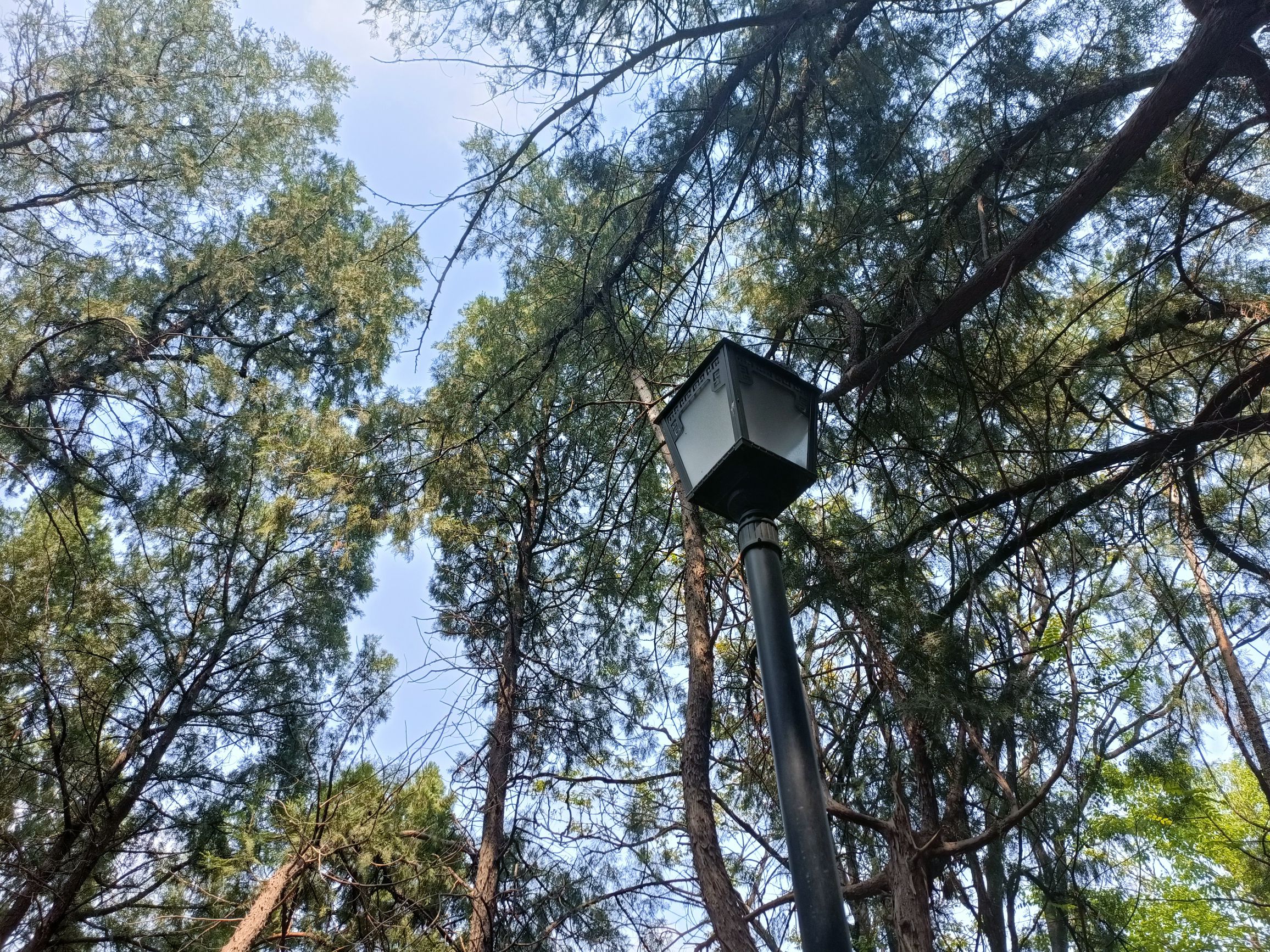 英雄山风景区旅行图片 1