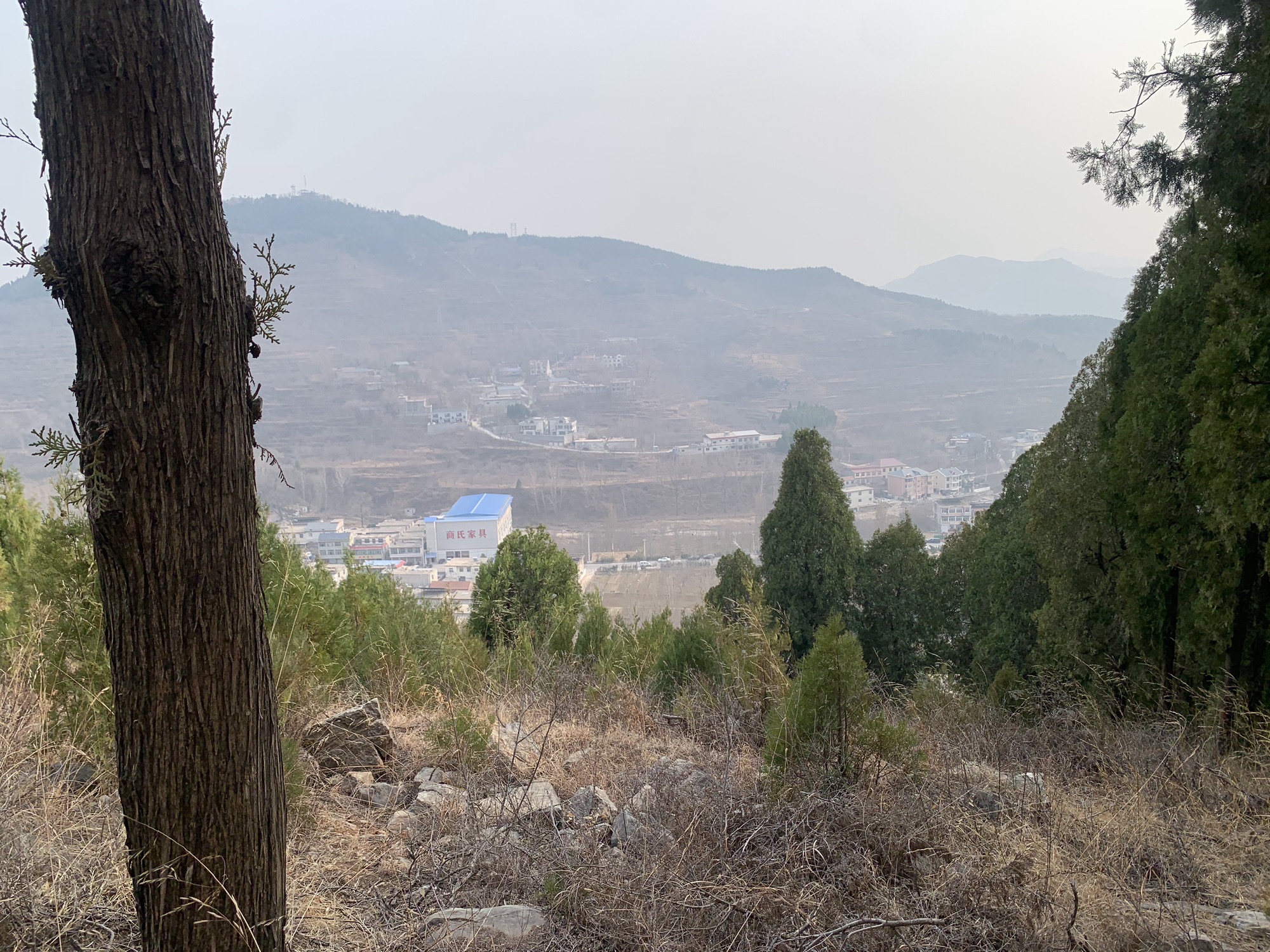 四门塔旅行图片 3