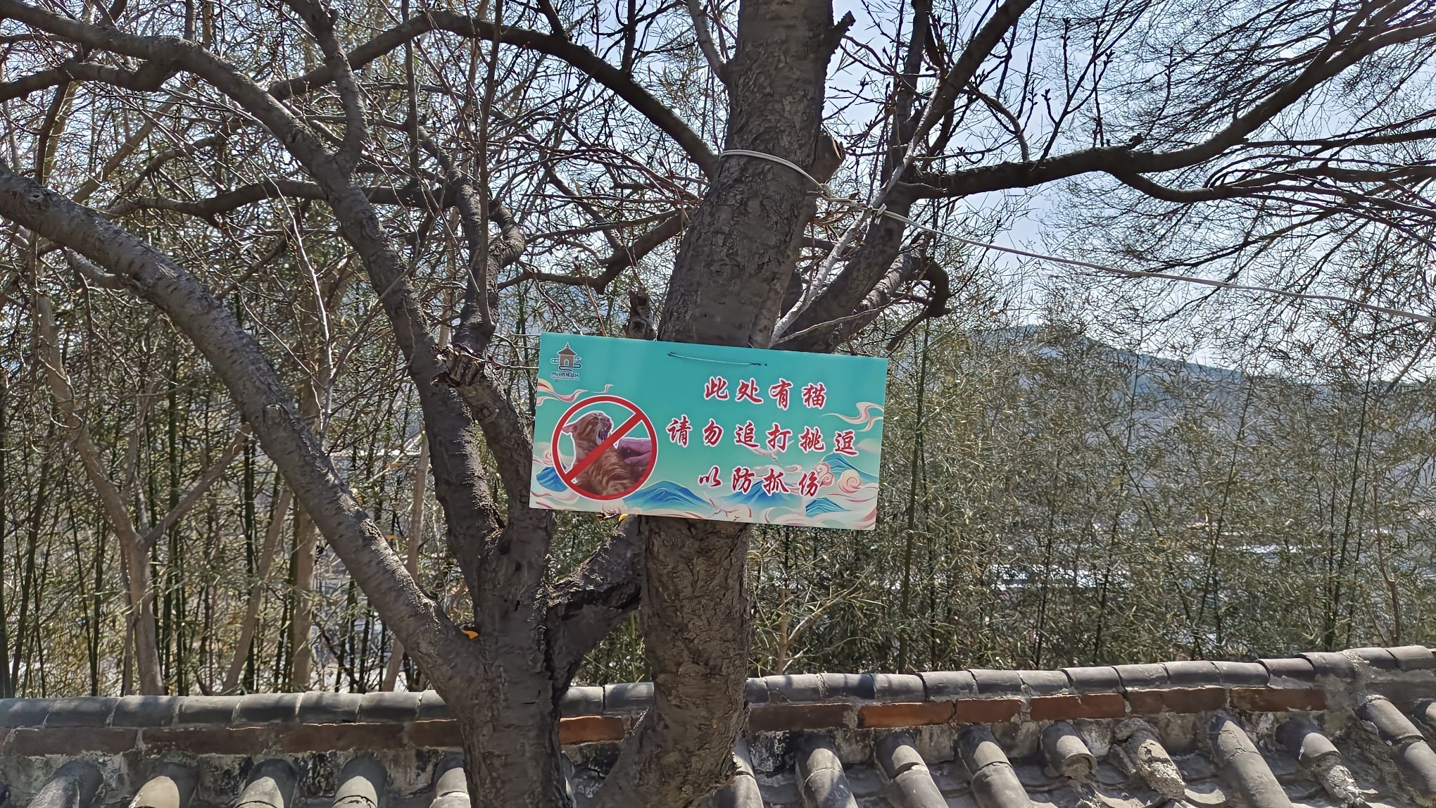 四门塔旅行图片 2