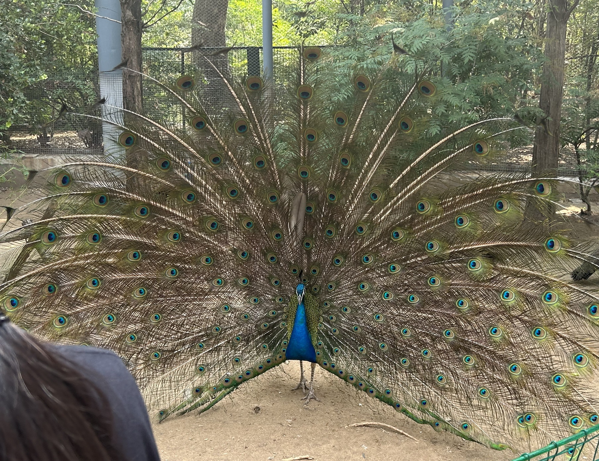 济南动物园旅行图片 3