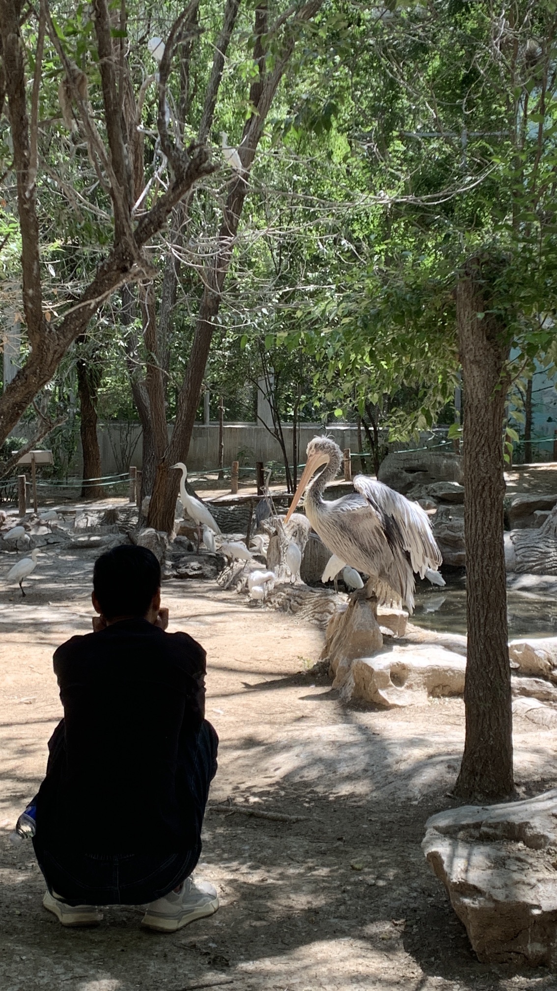 济南动物园旅行图片 3