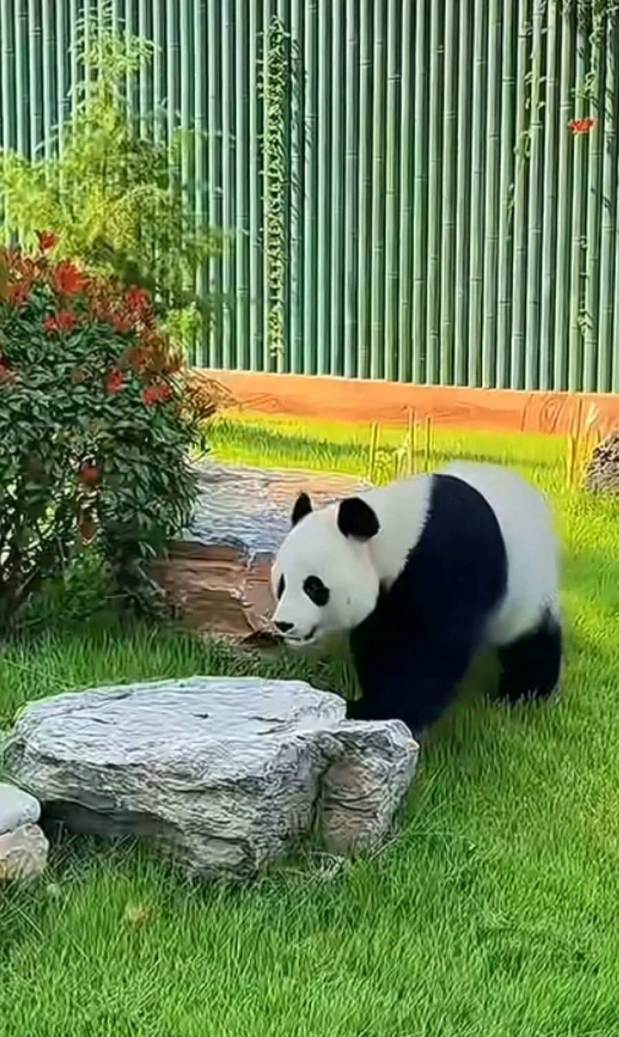 济南动物园旅行图片 2