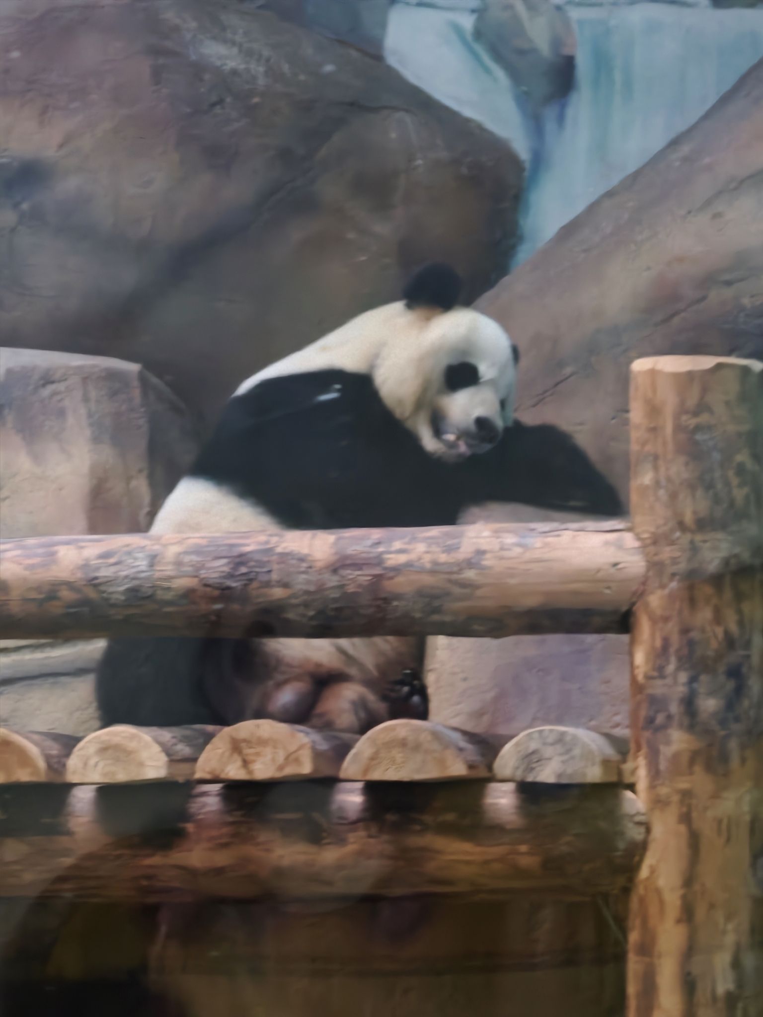 济南动物园旅行图片 1