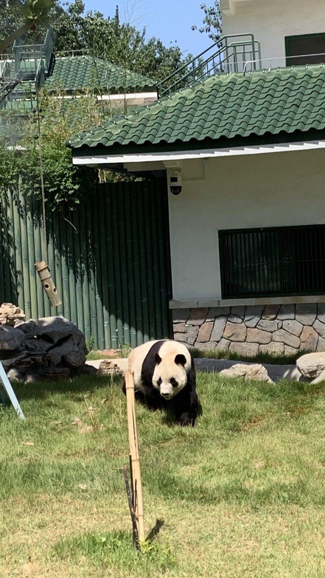济南动物园旅行图片 2
