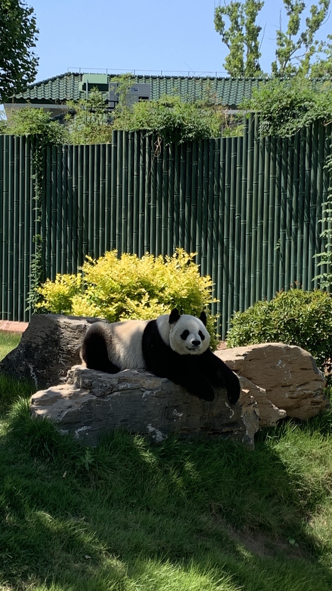 济南动物园旅行图片 1