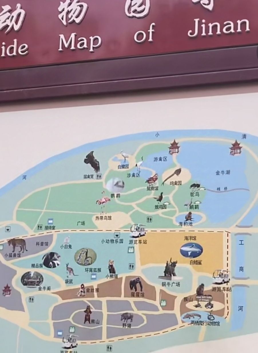 济南动物园旅行图片 1