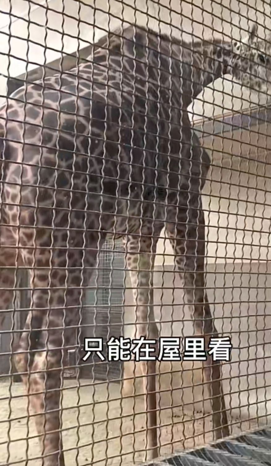 济南动物园旅行图片 3