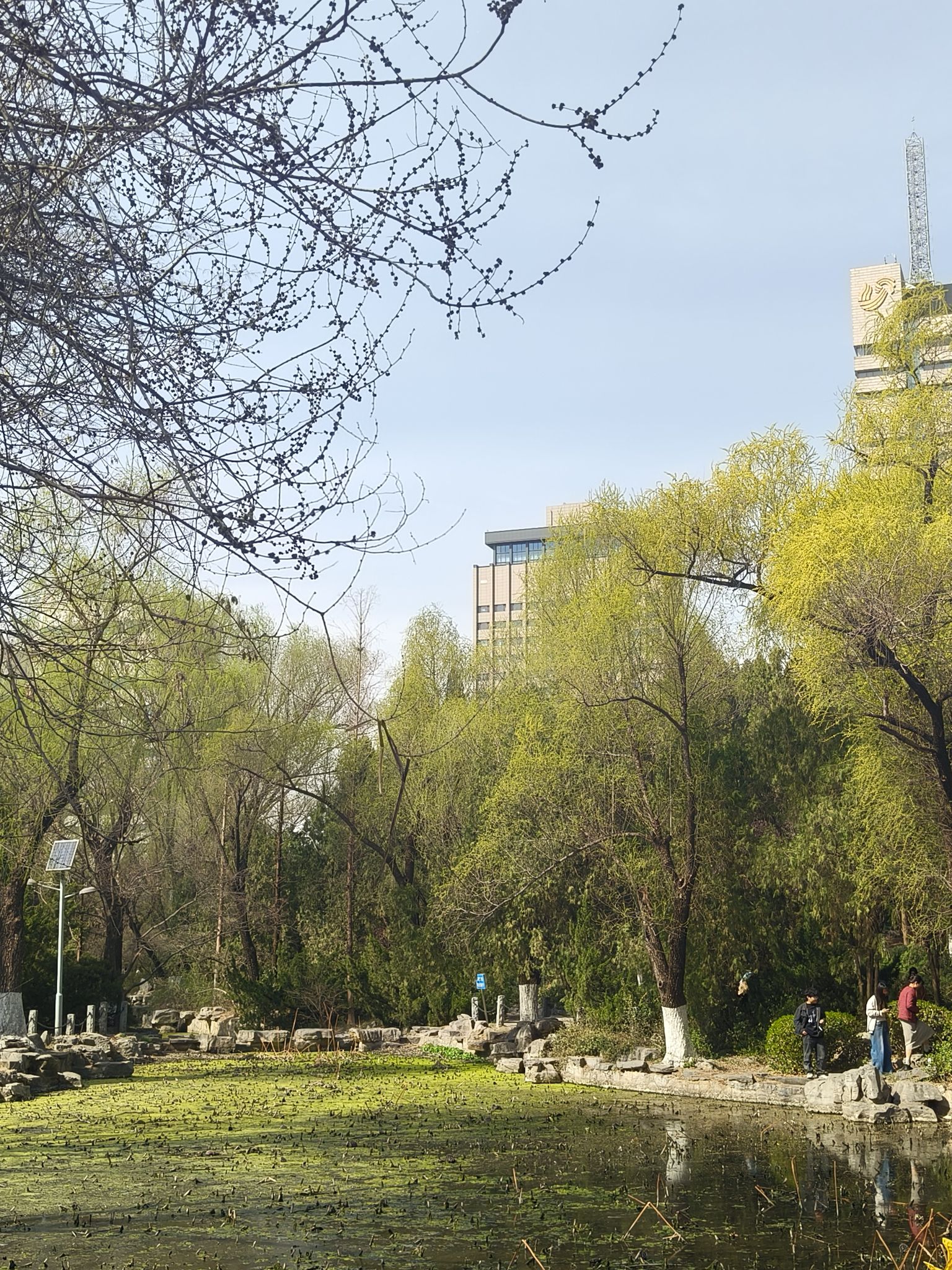 泉城公园旅行图片 3