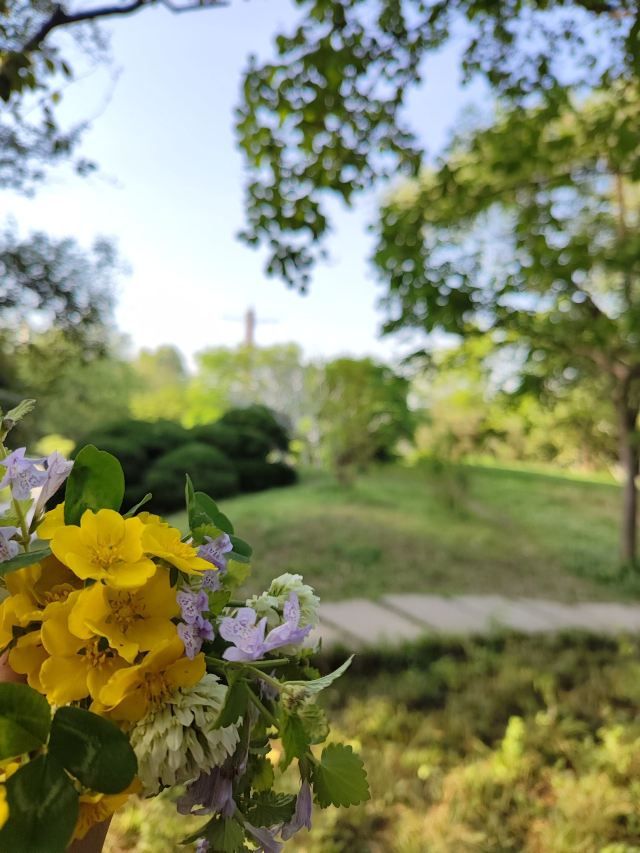 泉城公园旅行图片 2