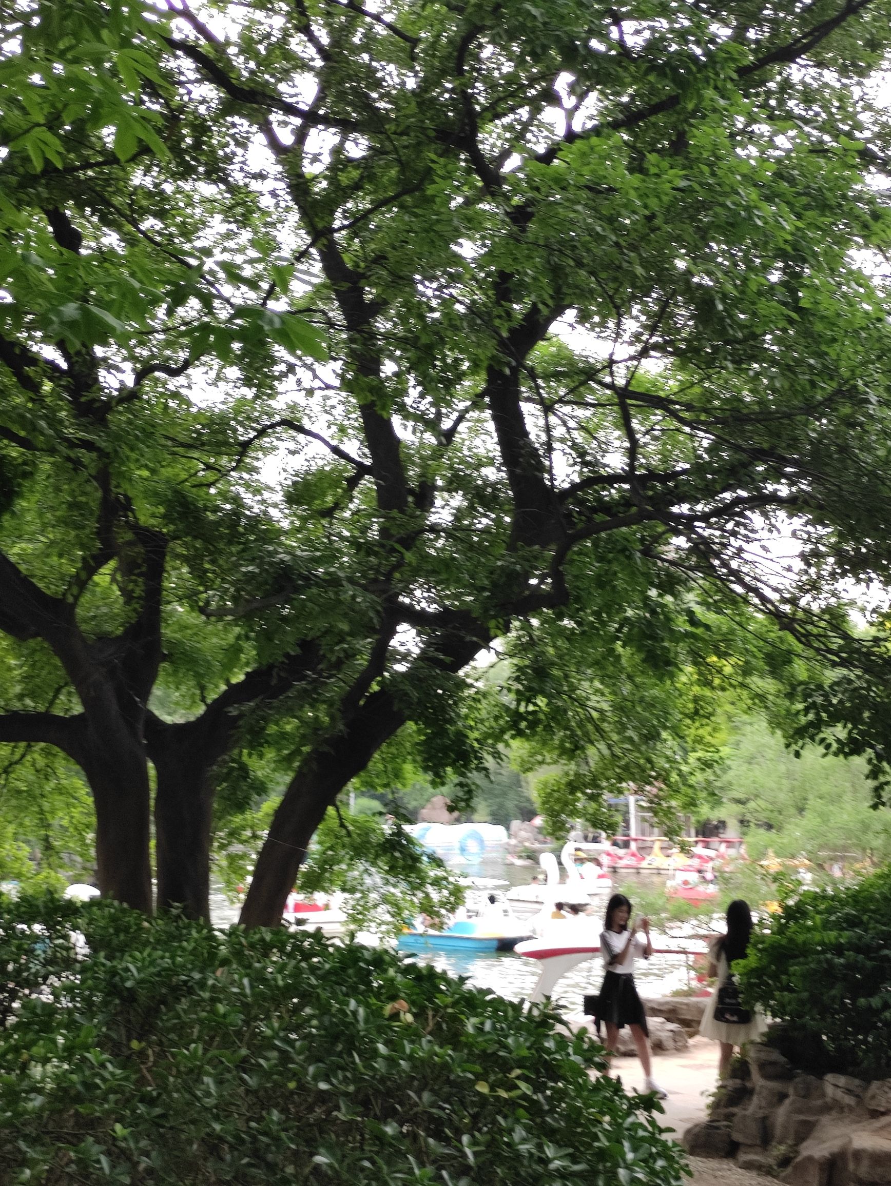 泉城公园旅行图片 1