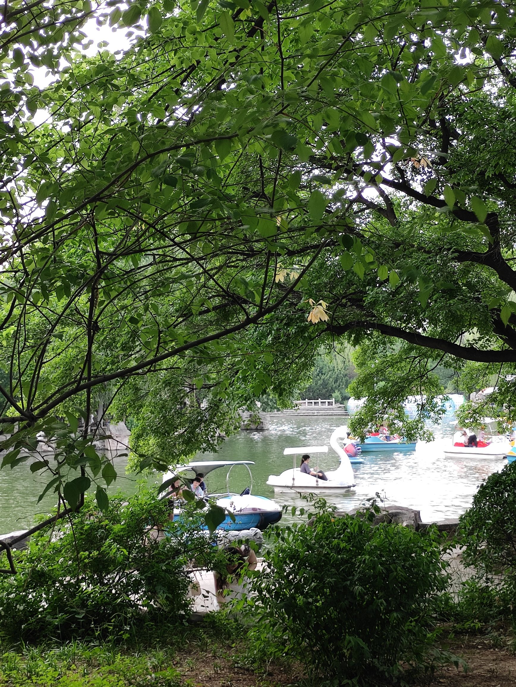 泉城公园旅行图片 3
