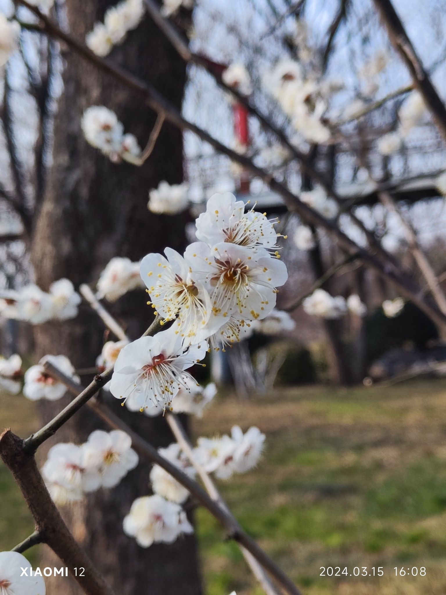 泉城公园旅行图片 2
