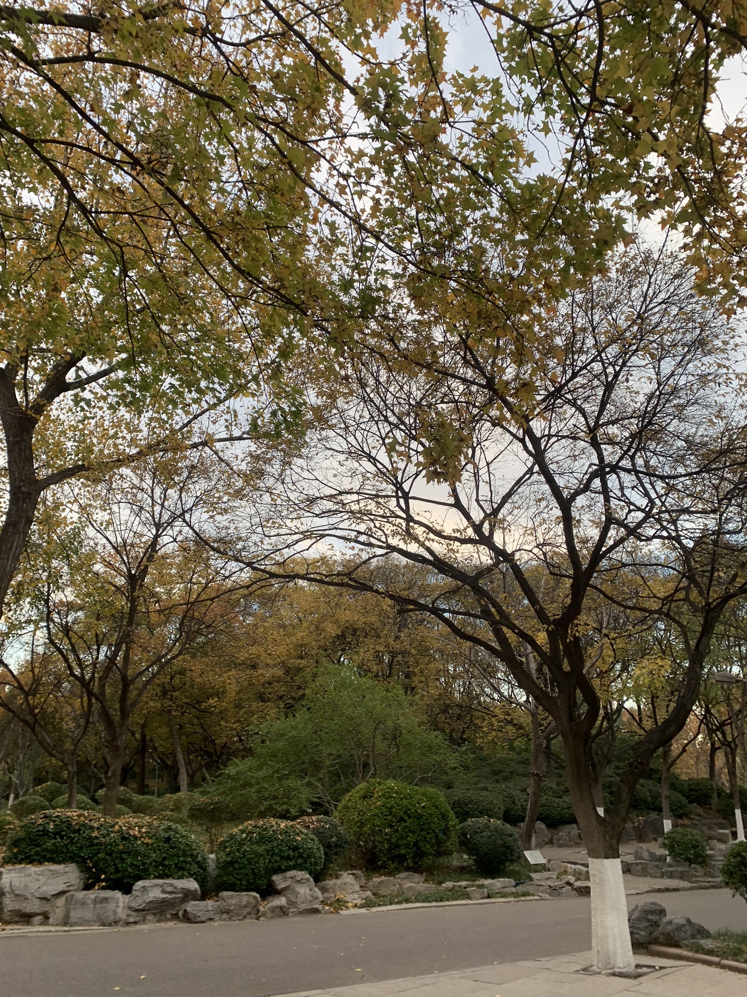 泉城公园旅行图片 3