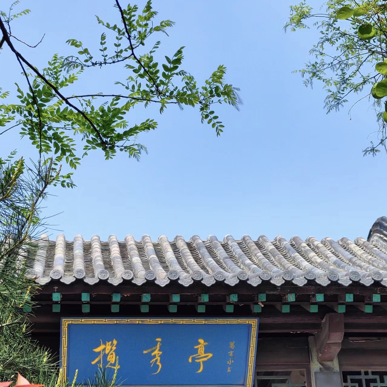 药山公园旅行图片 2