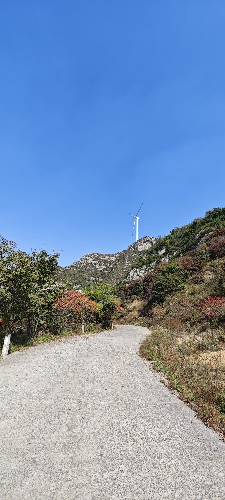 九顶山观光农业园旅行图片 2