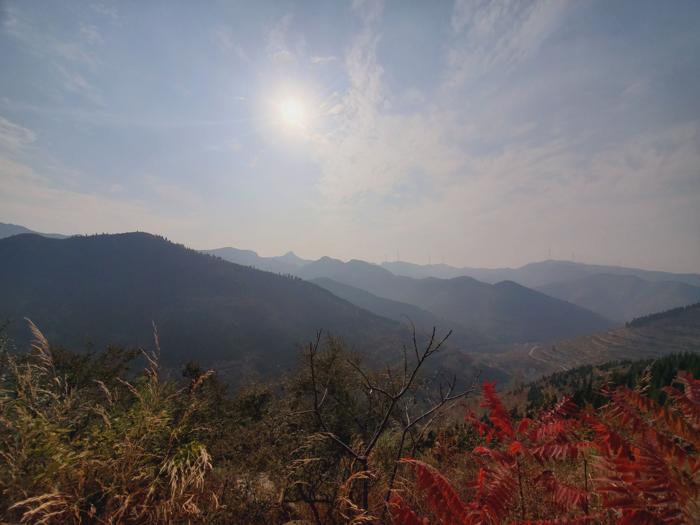 九顶山观光农业园旅行图片 3