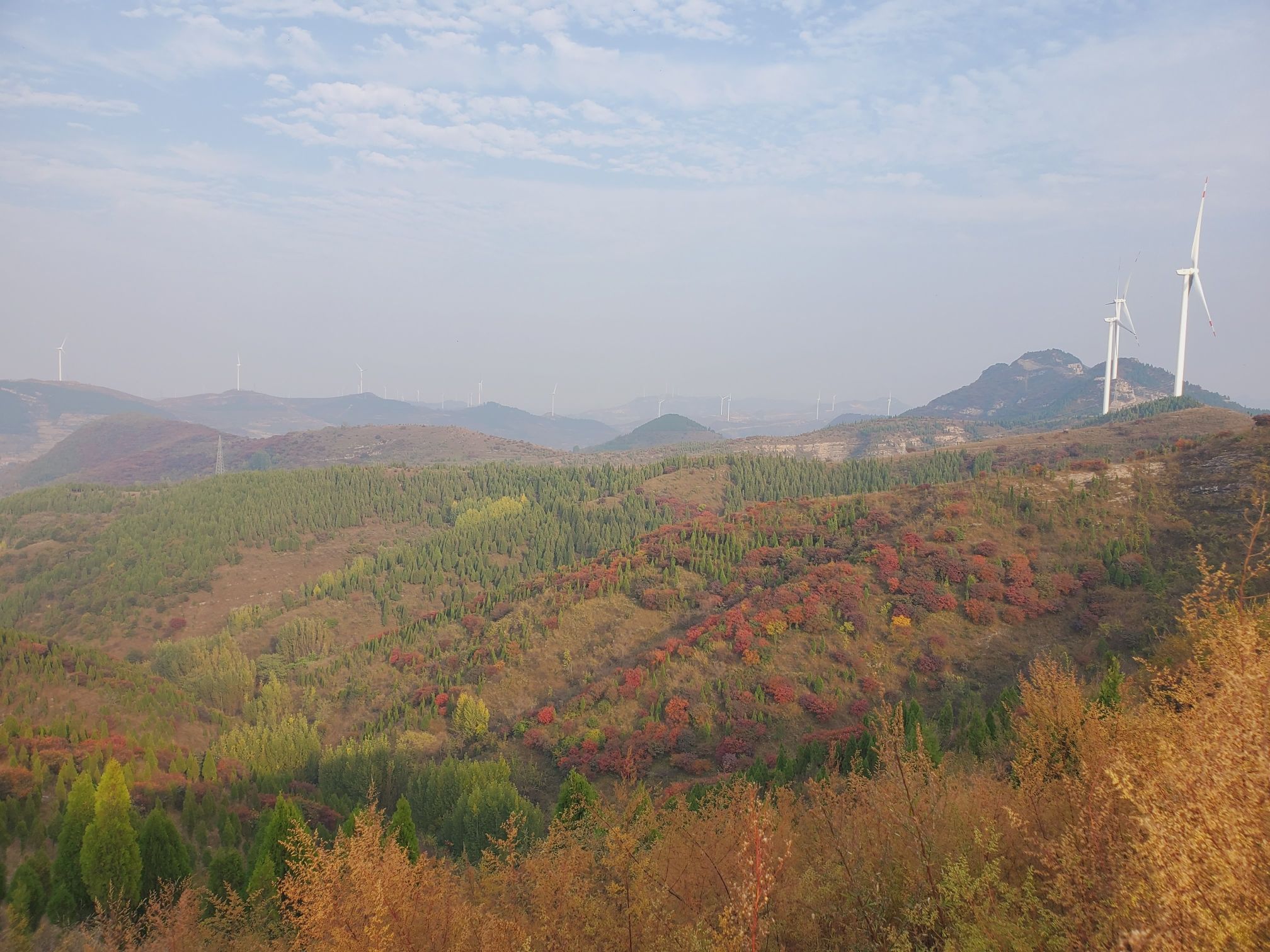 九顶山观光农业园旅行图片 1
