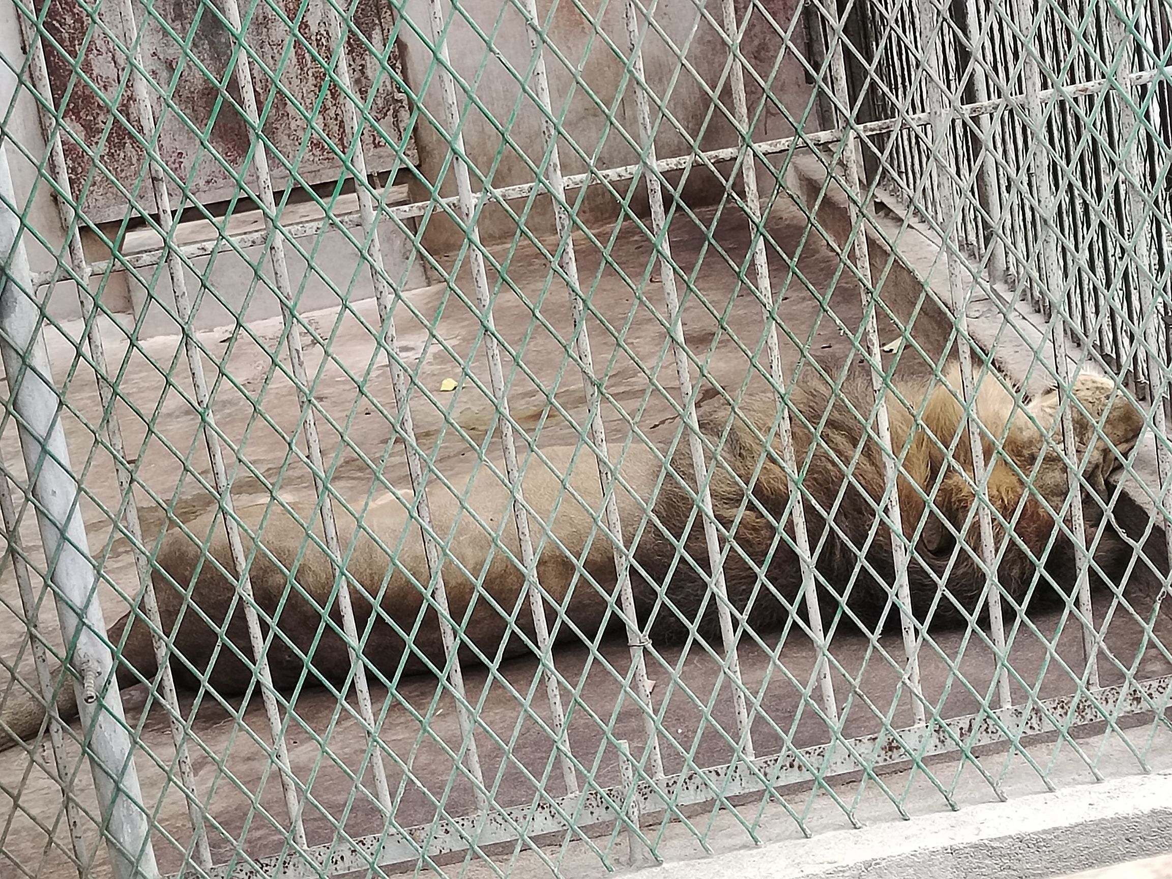 玫城公园旅行图片 3