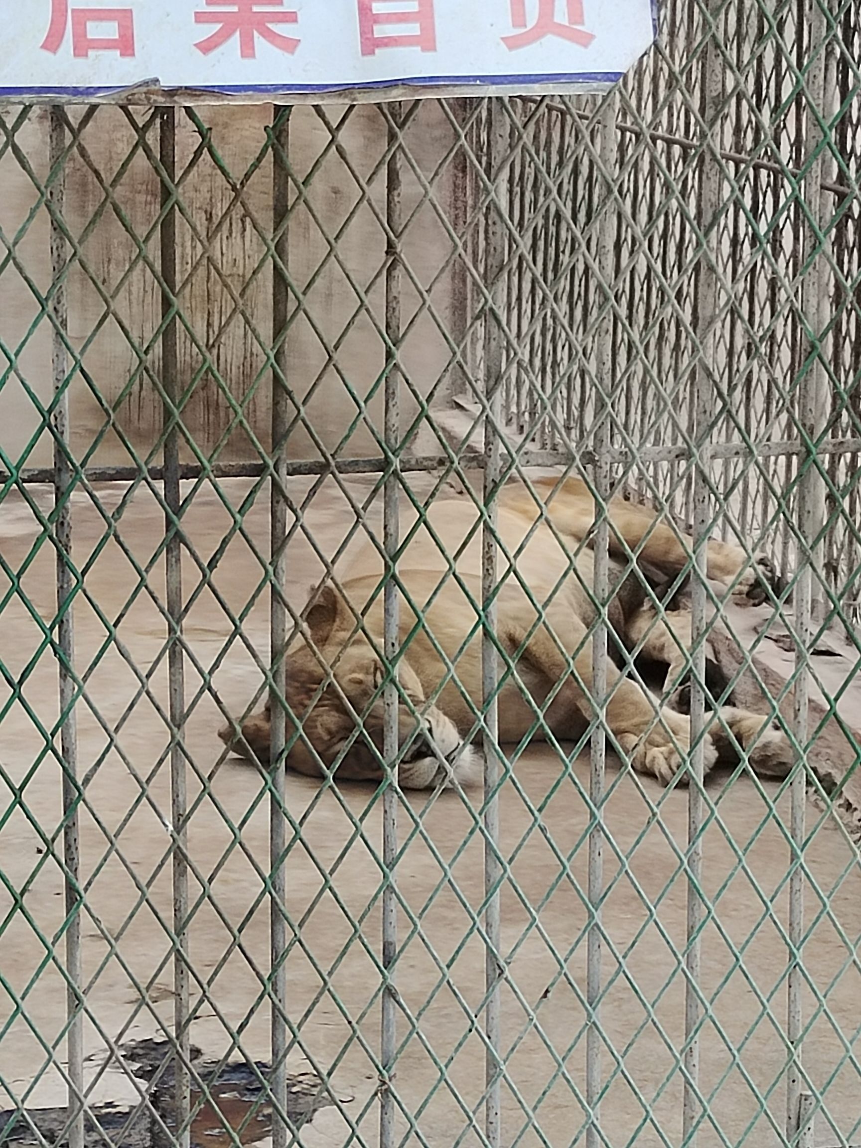 玫城公园旅行图片 2