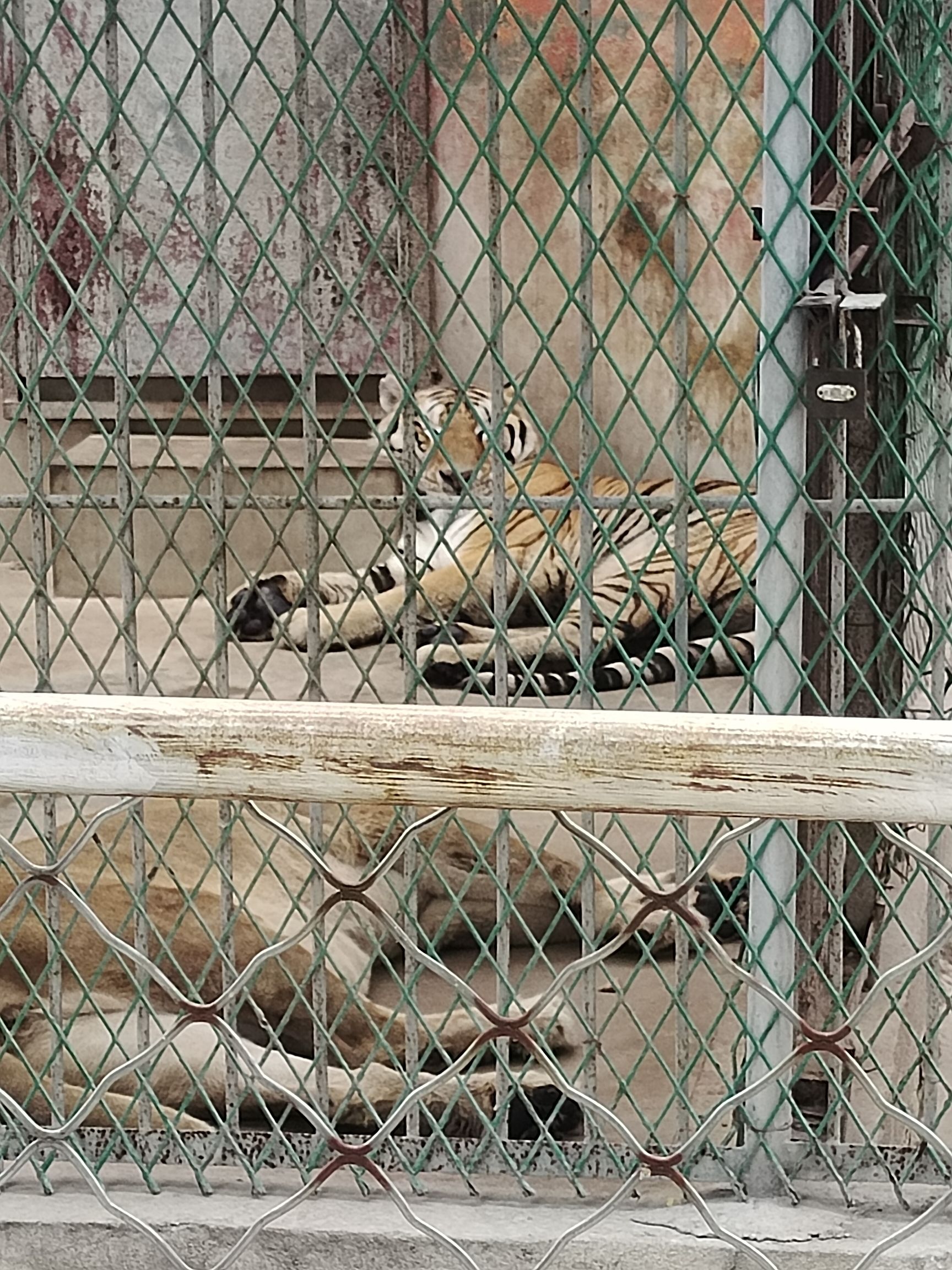 玫城公园旅行图片 1