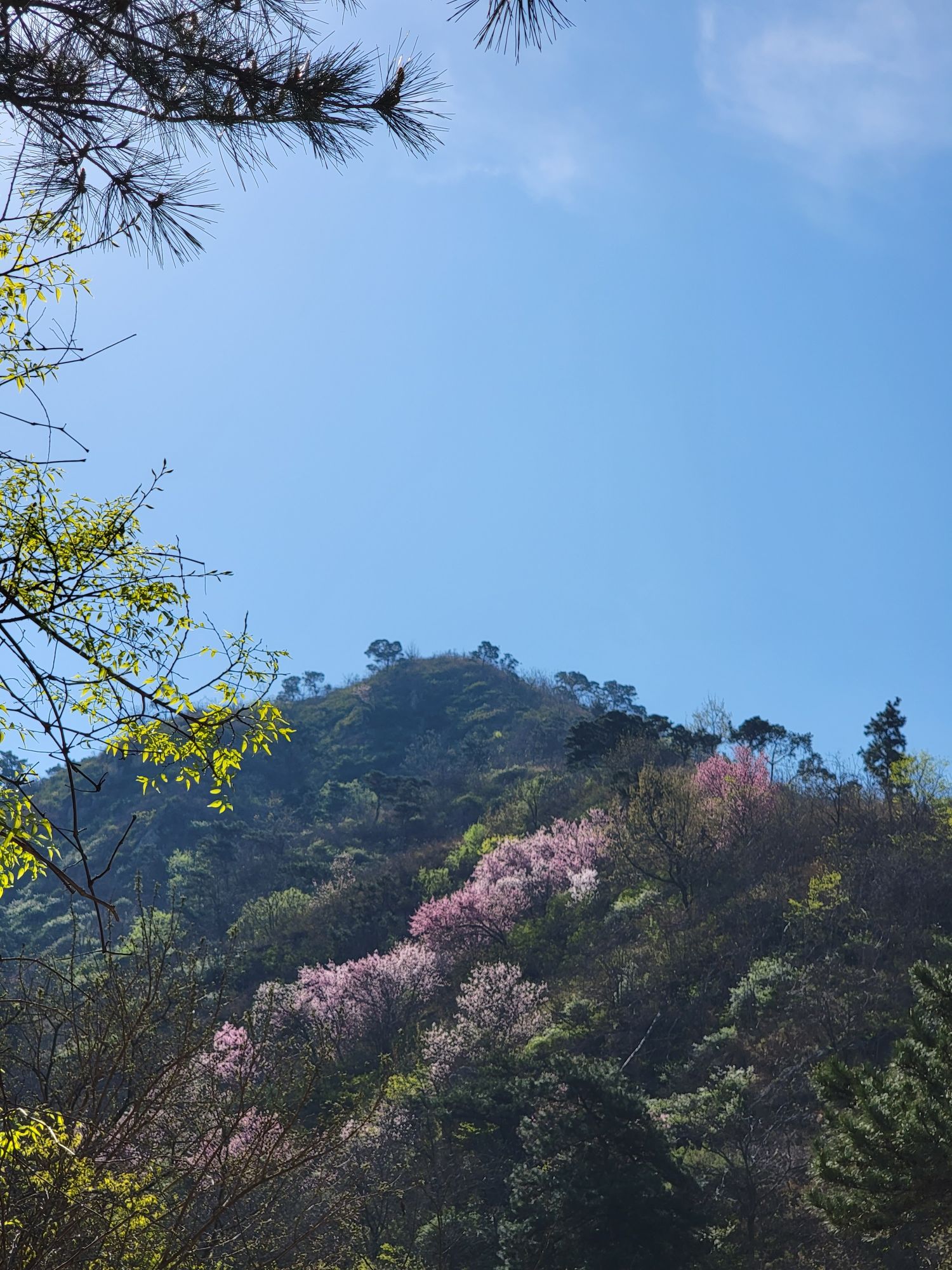 卧龙峪生态景区旅行图片 3