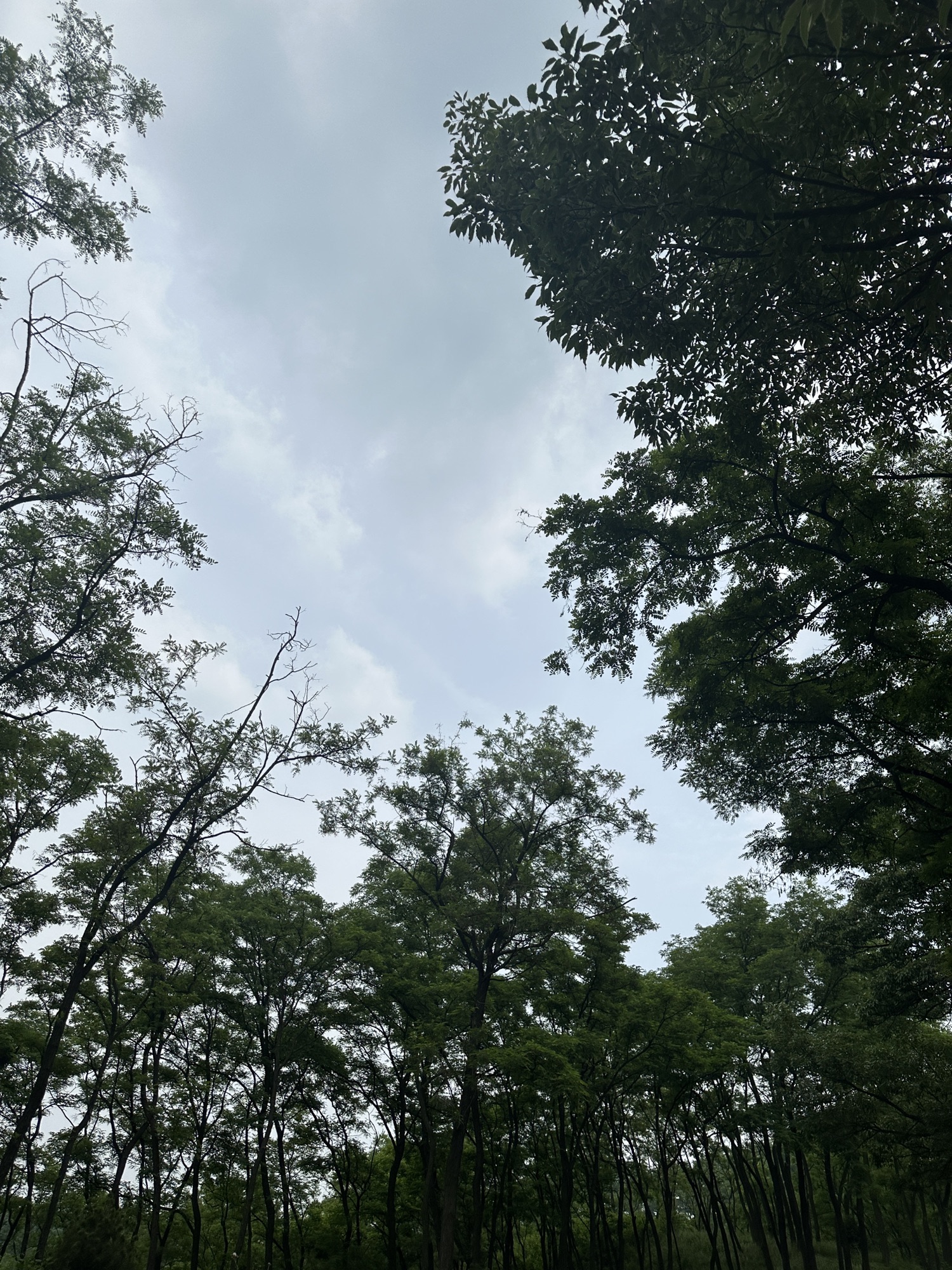 卧龙峪生态景区旅行图片 2