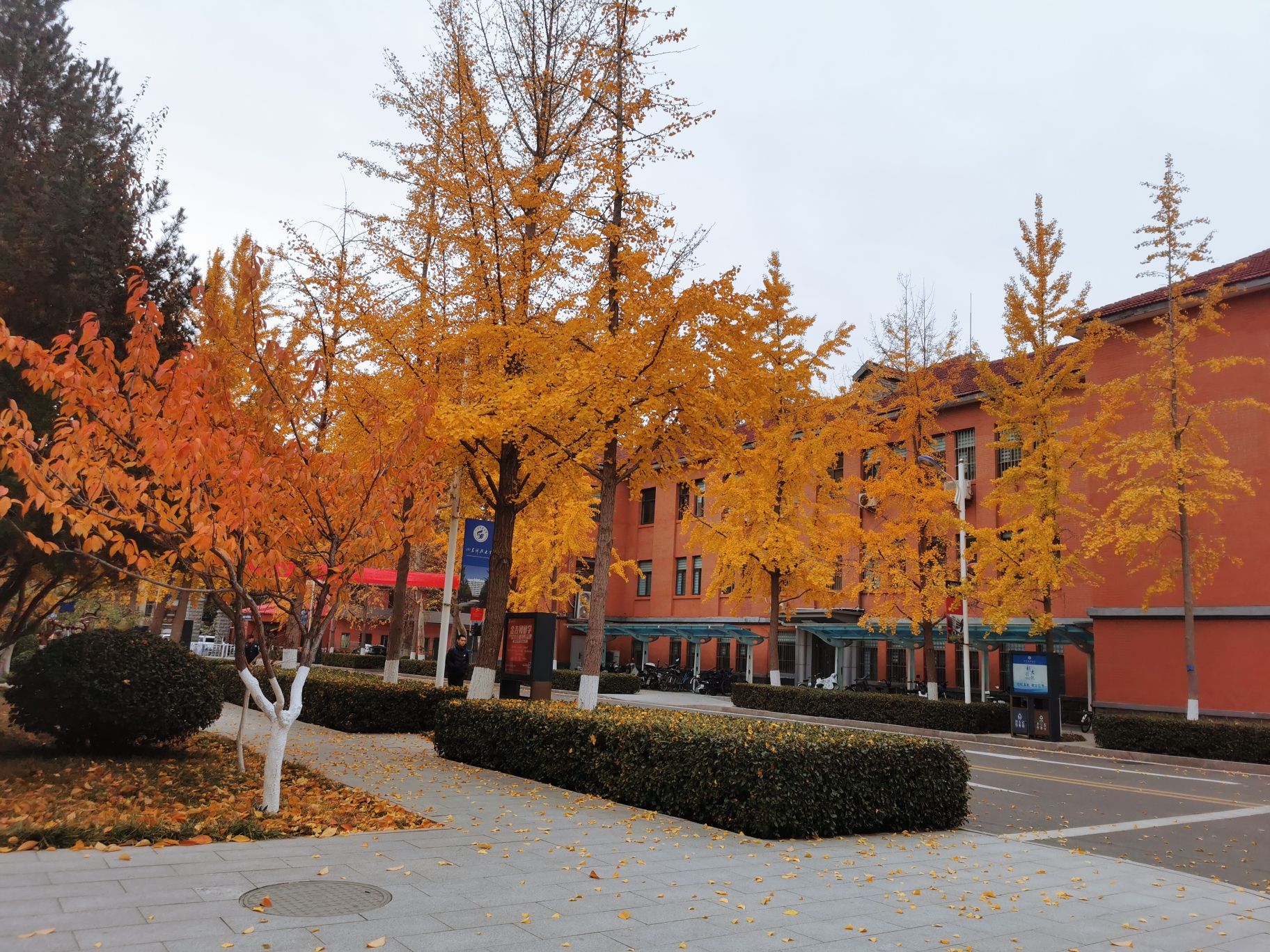 山东科技大学济南校区