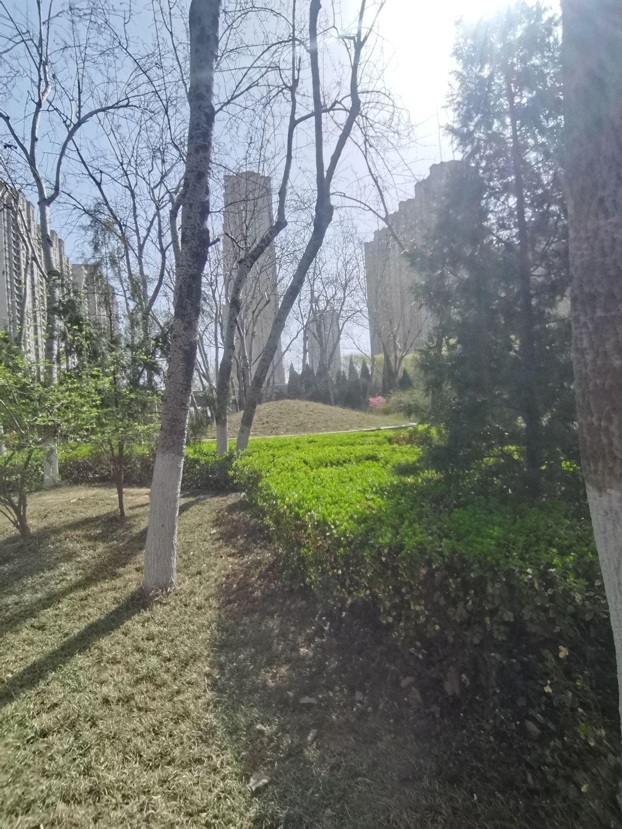 张养浩墓公园旅行图片 3