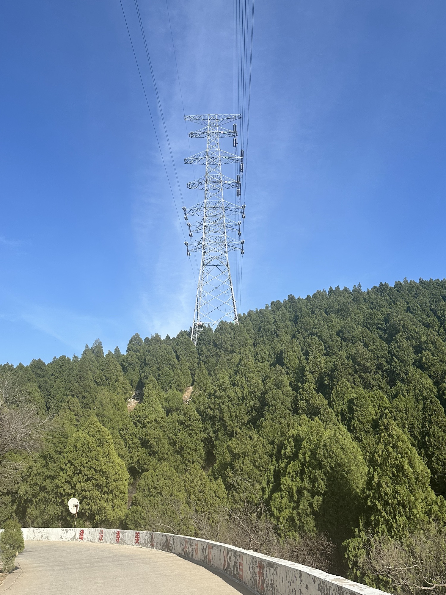胡山省级森林公园旅行图片 1