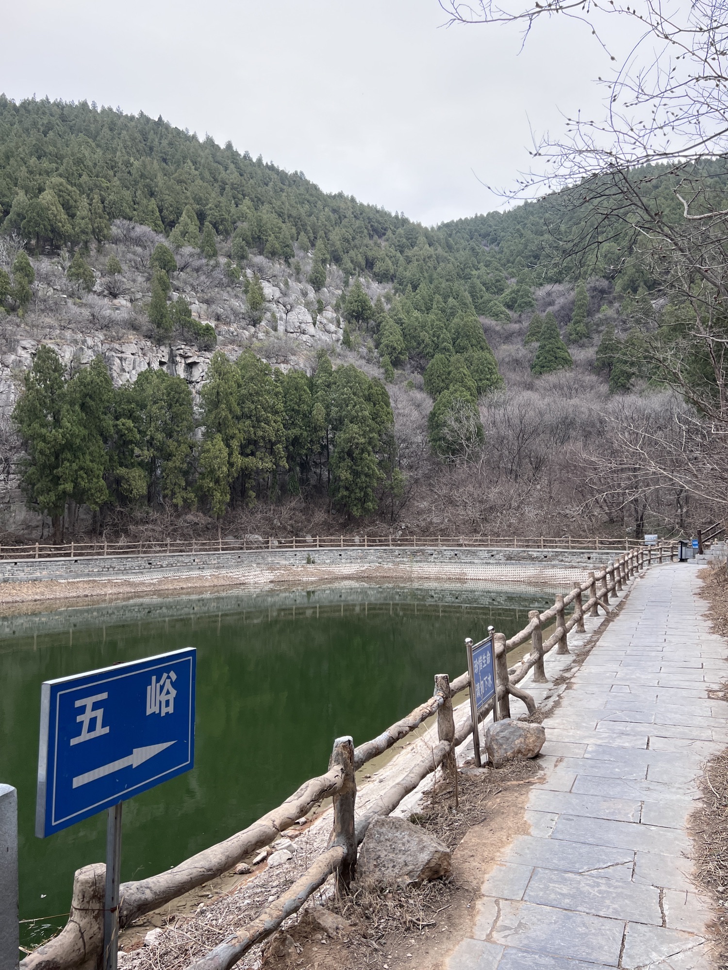 胡山省级森林公园旅行图片 2