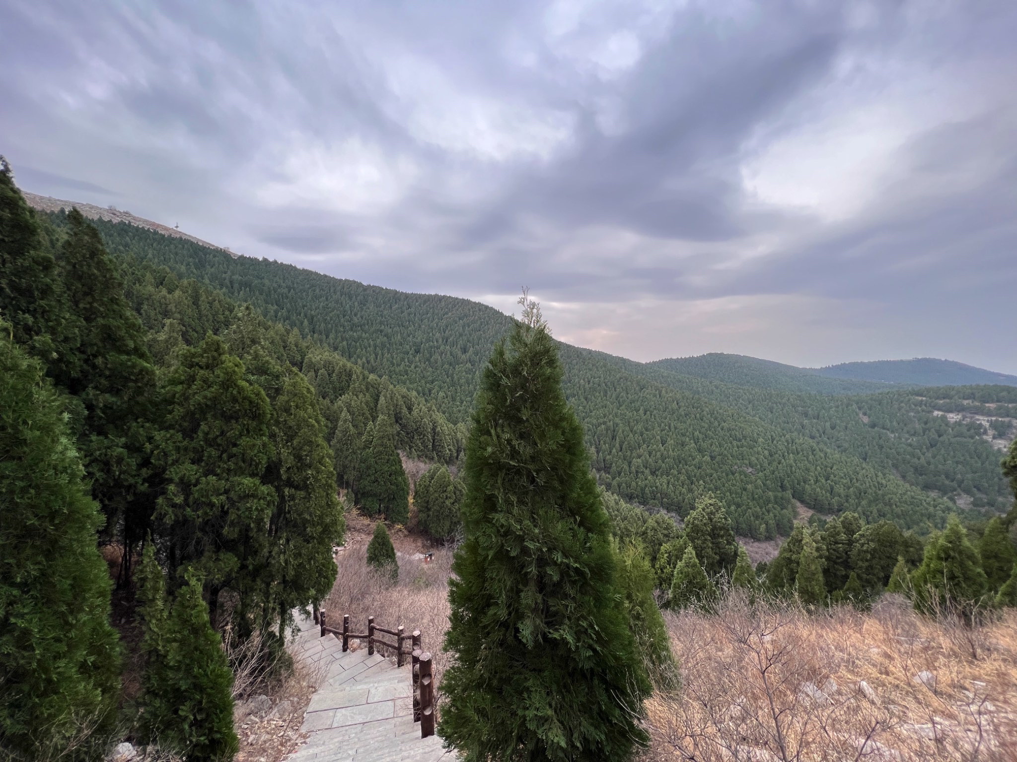 胡山省级森林公园旅行图片 1