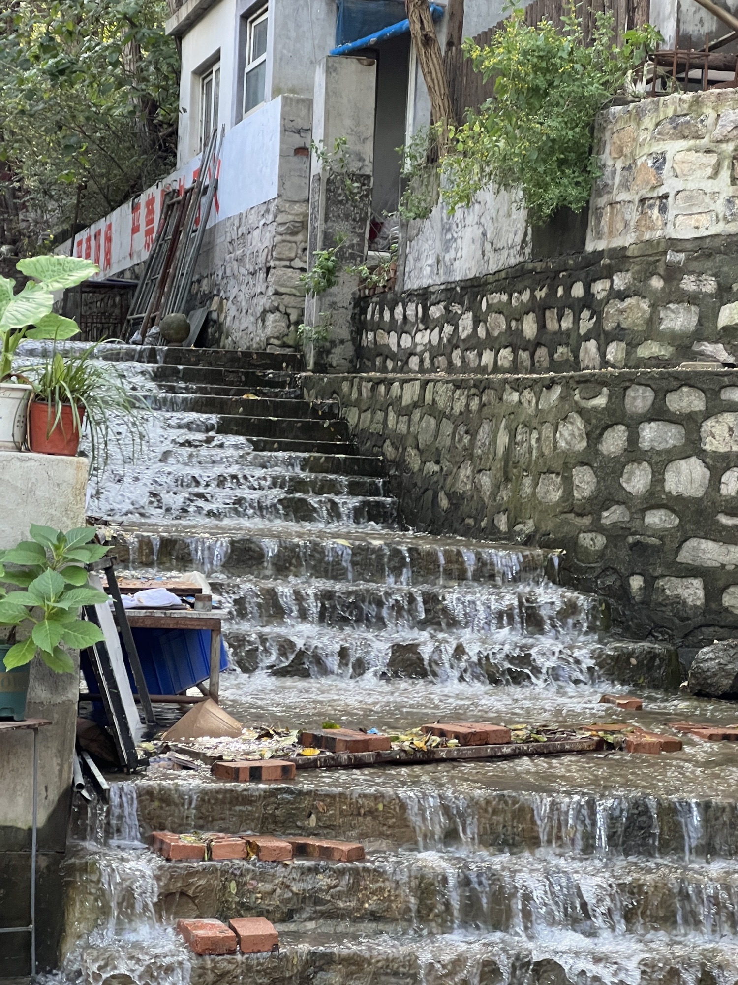 胡山省级森林公园旅行图片 3