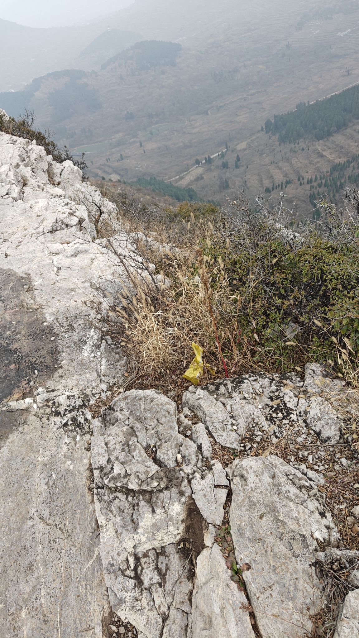 胡山省级森林公园旅行图片 2