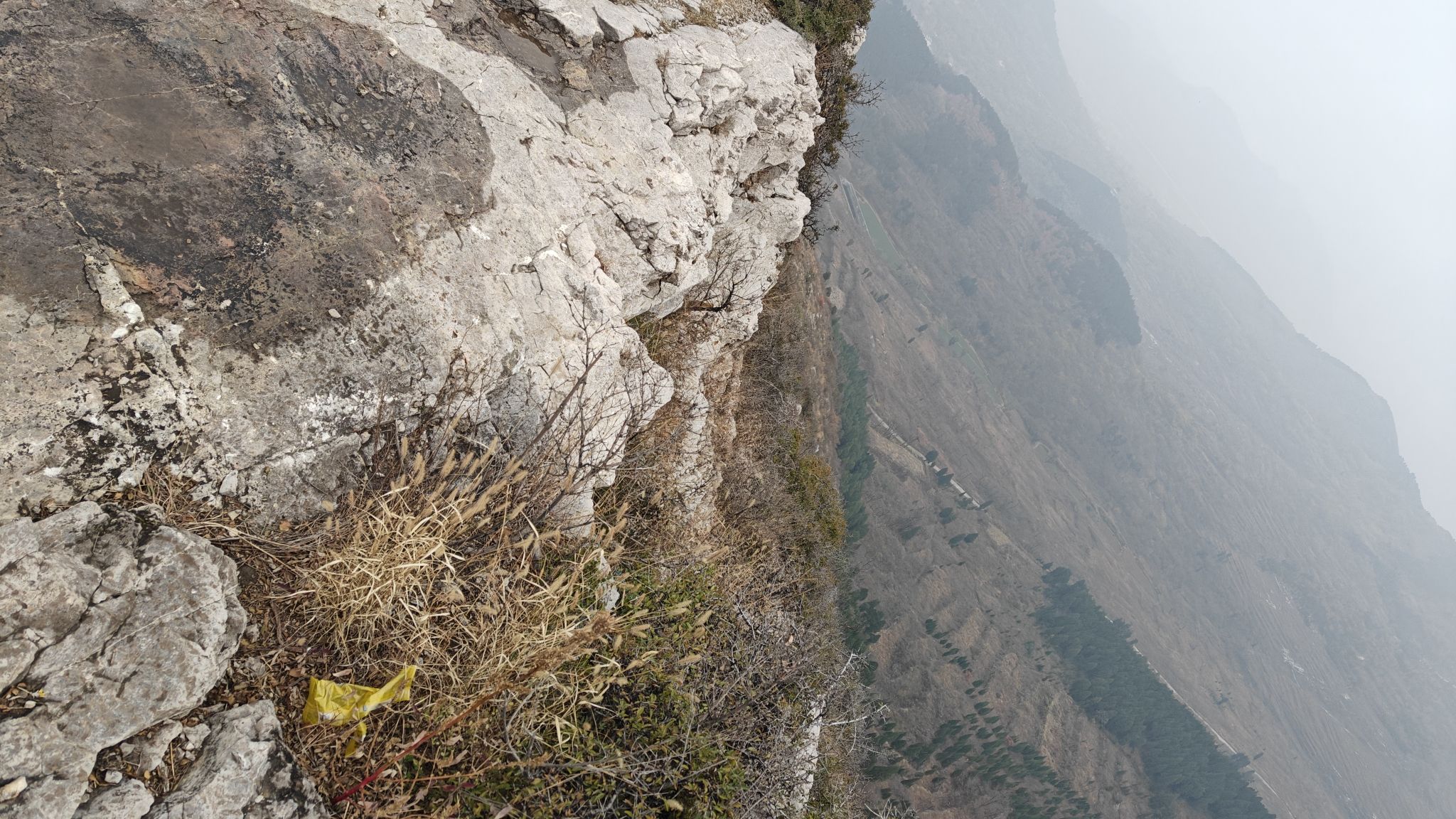 胡山省级森林公园旅行图片 3