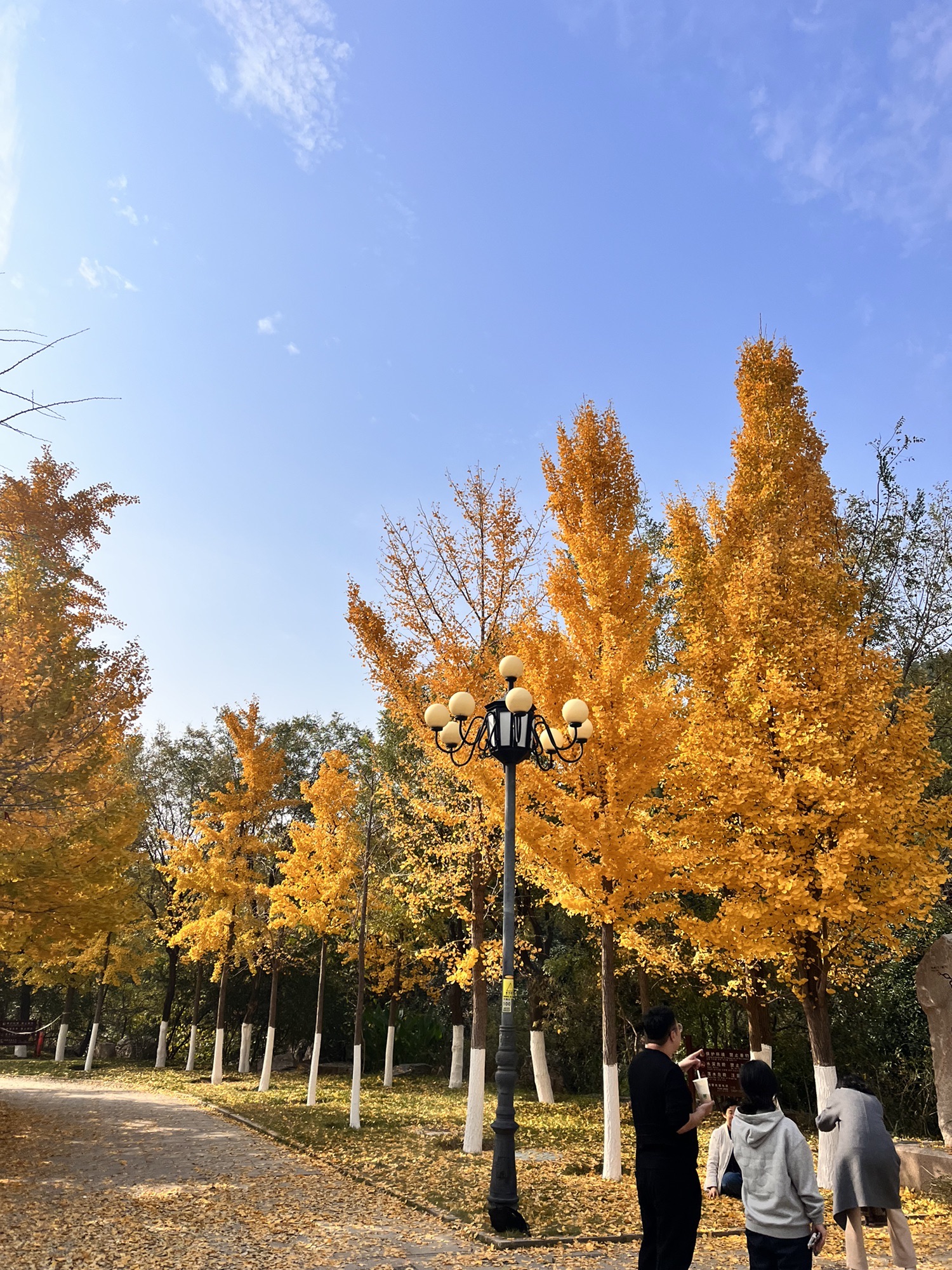 千佛山风景名胜区旅行图片 3