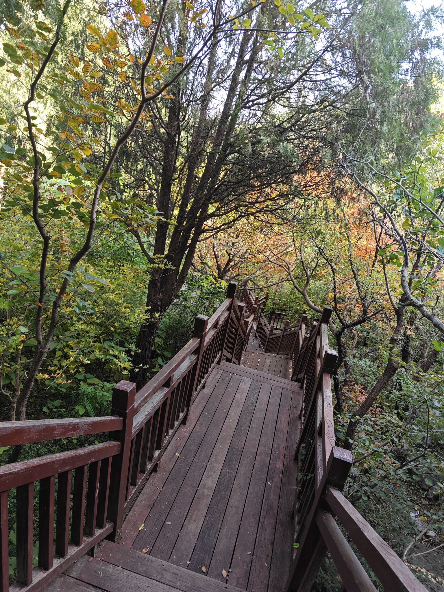 千佛山风景名胜区旅行图片 2