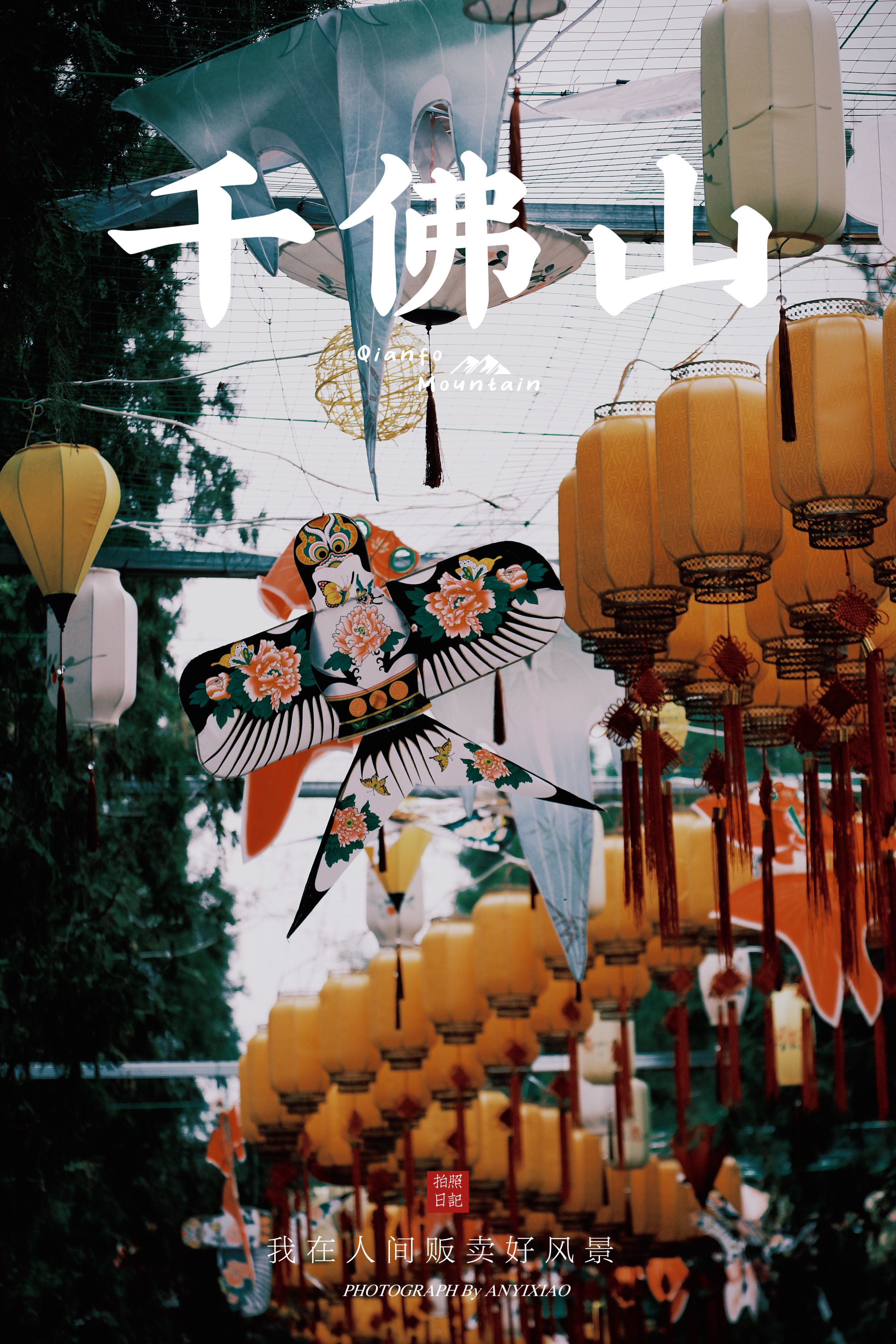 千佛山风景名胜区旅行图片