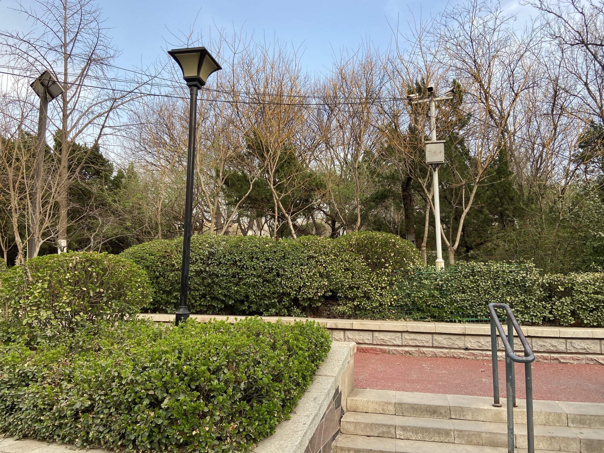 舜玉公园旅行图片 3