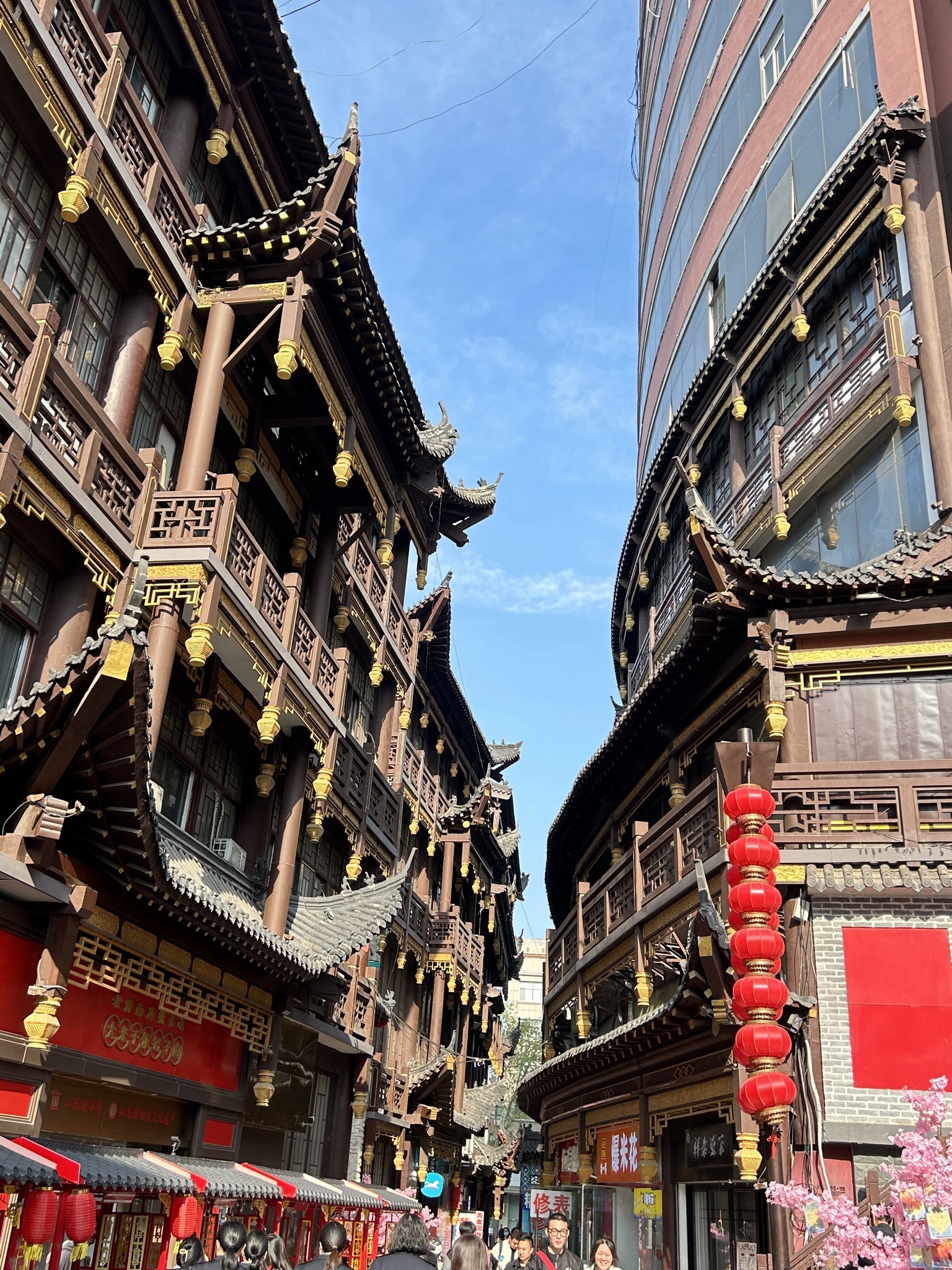 大观园旅行图片 1