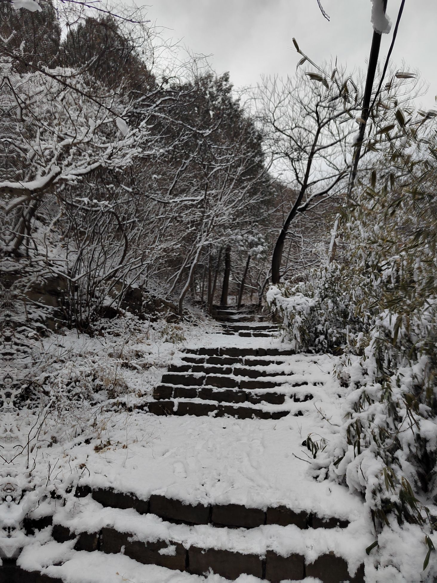 朱凤山旅行图片 1