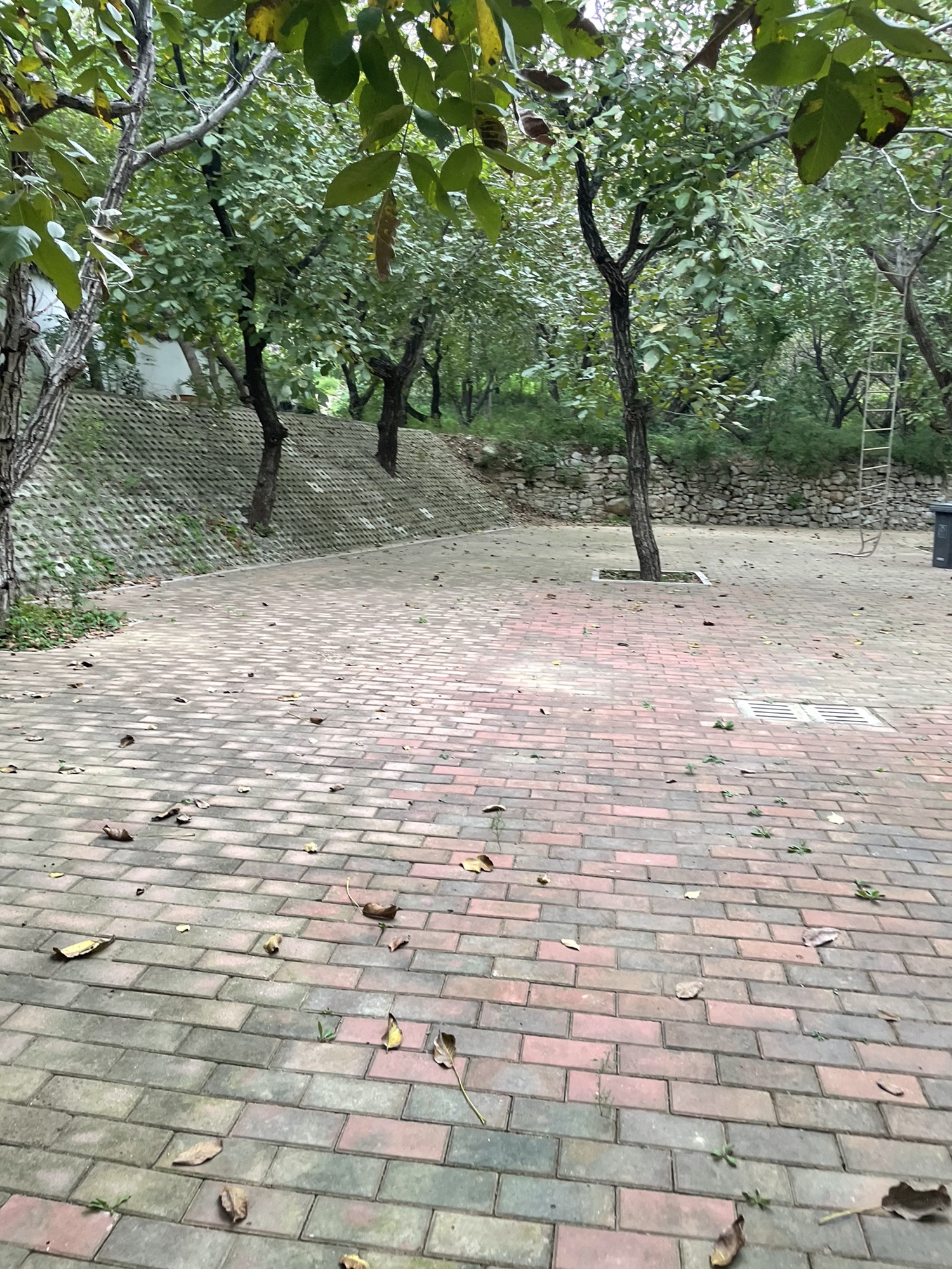 长清齐长城旅游区旅行图片 2