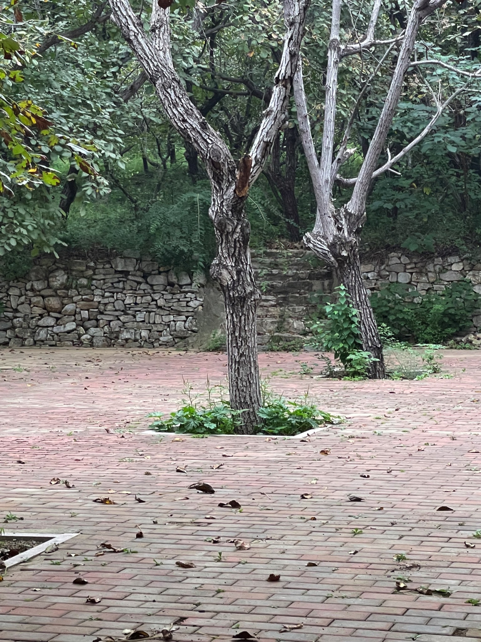 长清齐长城旅游区旅行图片 1
