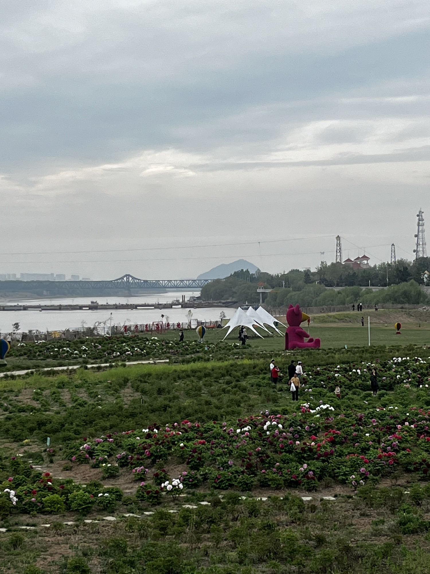 济南百里黄河风景区旅行图片 3