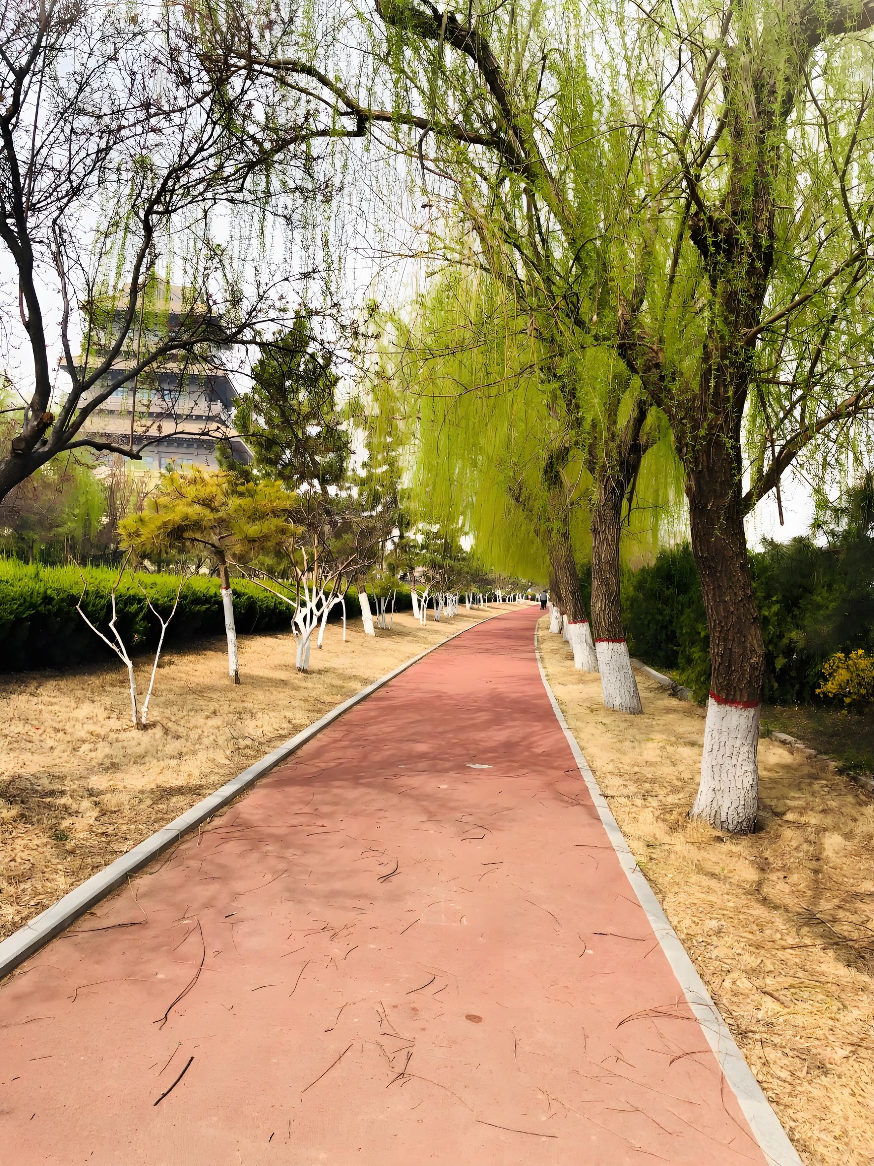 济南百里黄河风景区旅行图片 3