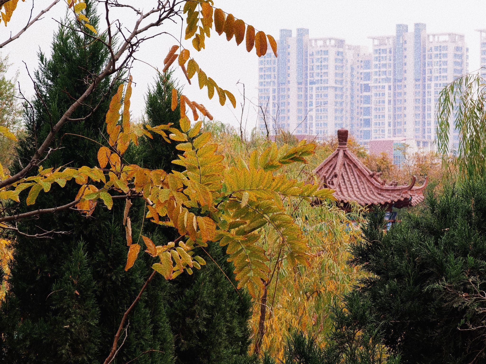 济北公园旅行图片 3