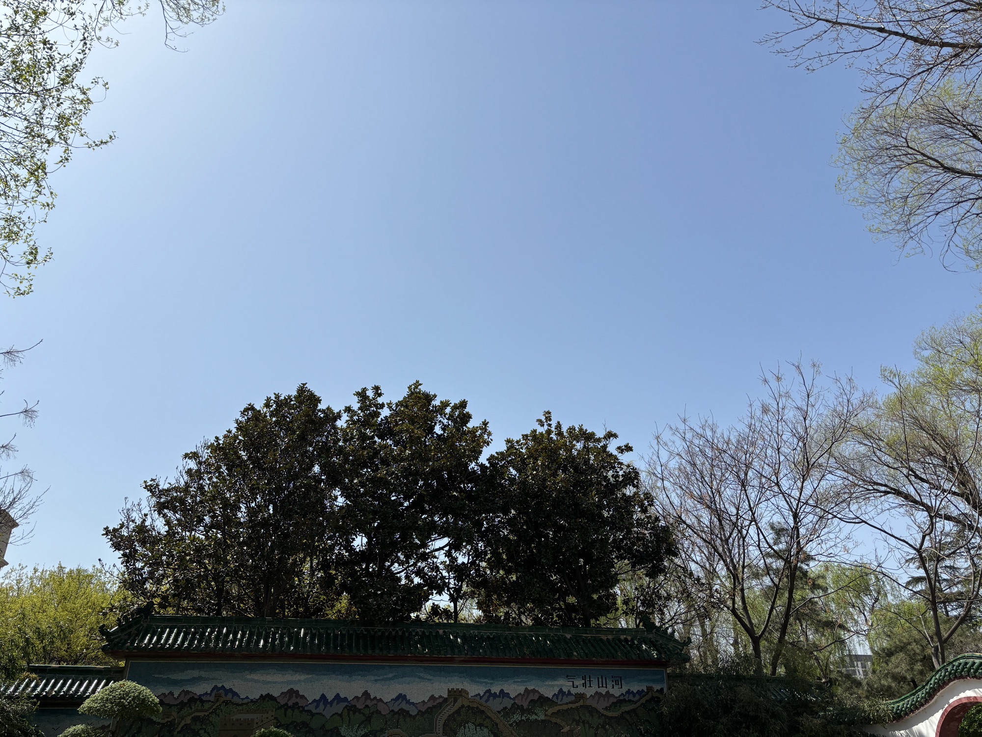 长清乐园旅行图片 2