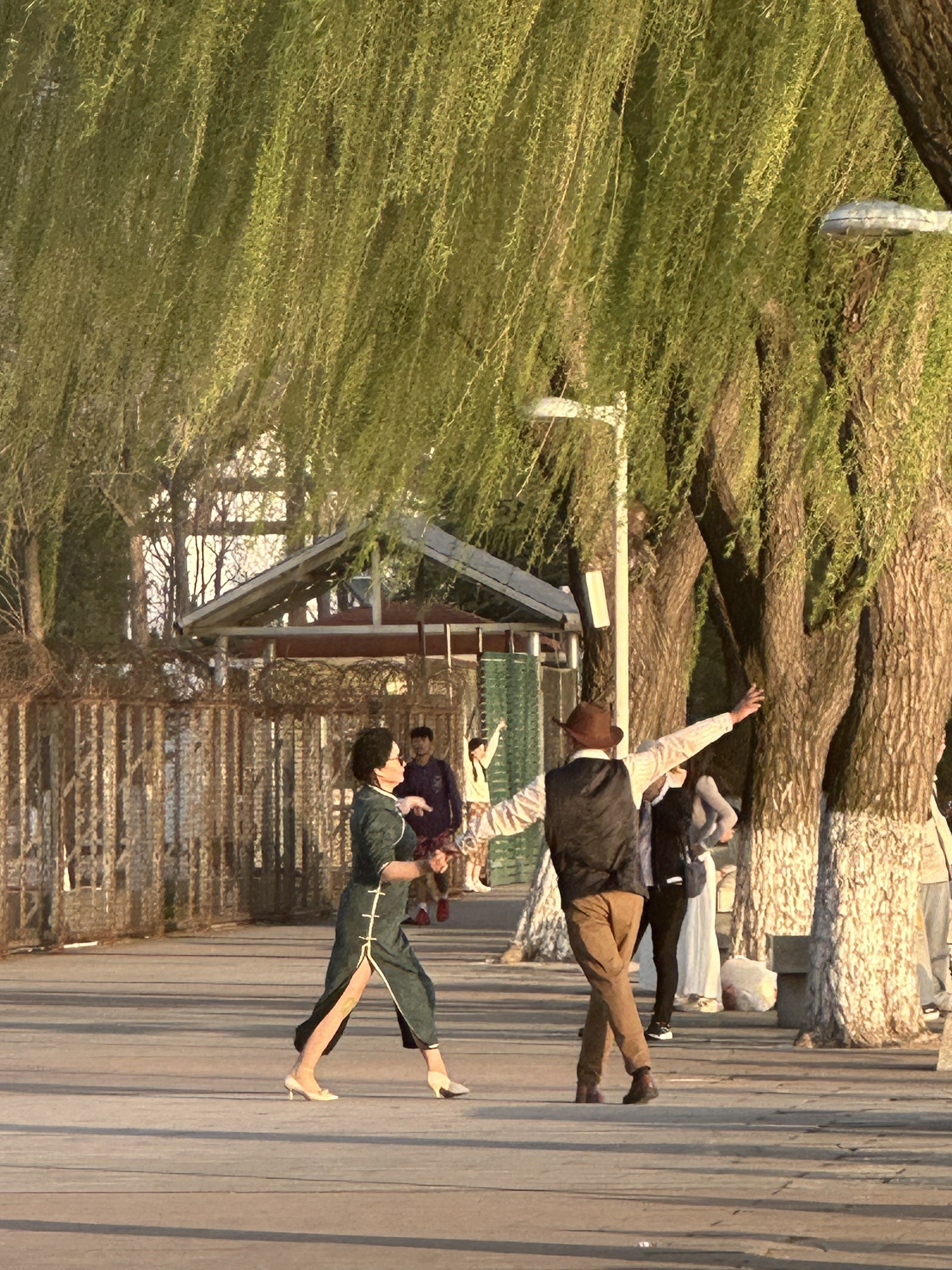 济南国际园博园旅行图片 3