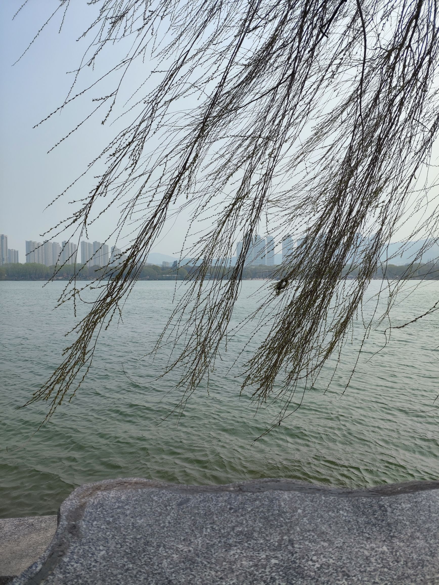 济南国际园博园旅行图片 2